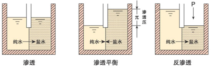 1764223062701140.png 41.png